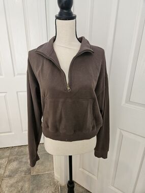 American Eagle Outfitters Brown Half-Zip Crewneck Pullover